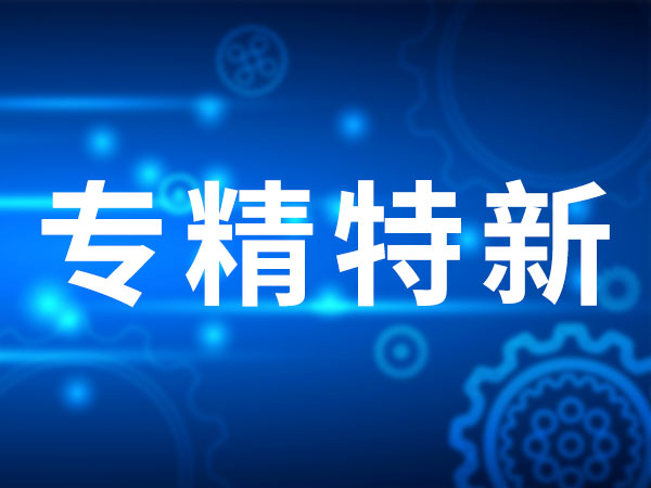热烈祝贺山东long8集团通过“专精特新”中小企业认证